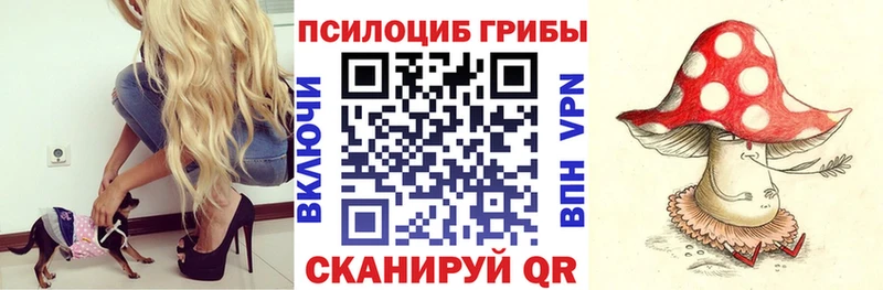 Псилоцибиновые грибы прущие грибы  гидра рабочий сайт  Ершов 