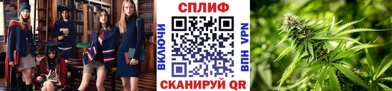 omg рабочий сайт  как найти   Ершов  Бошки марихуана THC 21% 